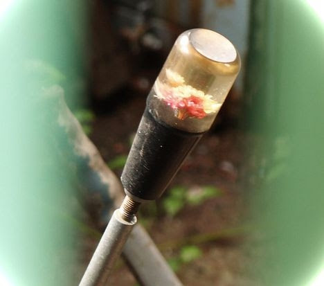 年のベスト 水中 花 作り方 レジン 100 で最高の画像