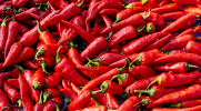 A heap of red peppers 