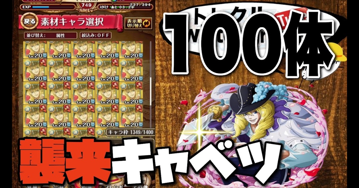 最新 トレクル 能力解放 ロジャー トレクル 能力解放 ロジャー Tuliphvl