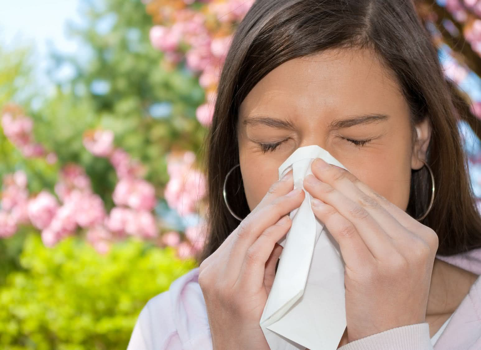 Remédios caseiros para alergia