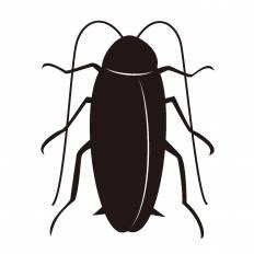 上選択 ゴキブリ イラスト かわいい かわいいフリー素材集 いらすとや