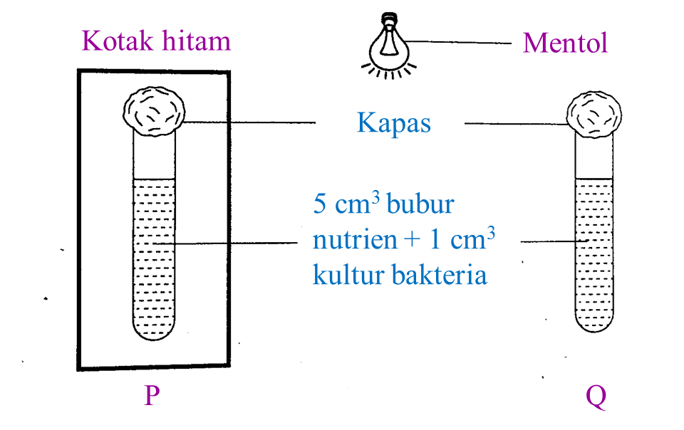 Soalan Graf Spm 2019 - Contoh QQ