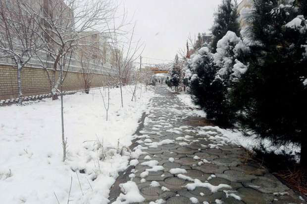 It was the direction of the first qiblah (direction of prayer) in islam. Snowfall Rain In Qom Photo Large Photos Taghribnews Tna