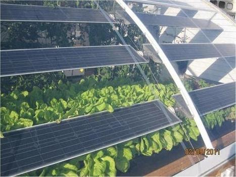 Aquaponic farm usa Vertical Farming Market Size to Surpass US$ 31.15 Bn by 2030
