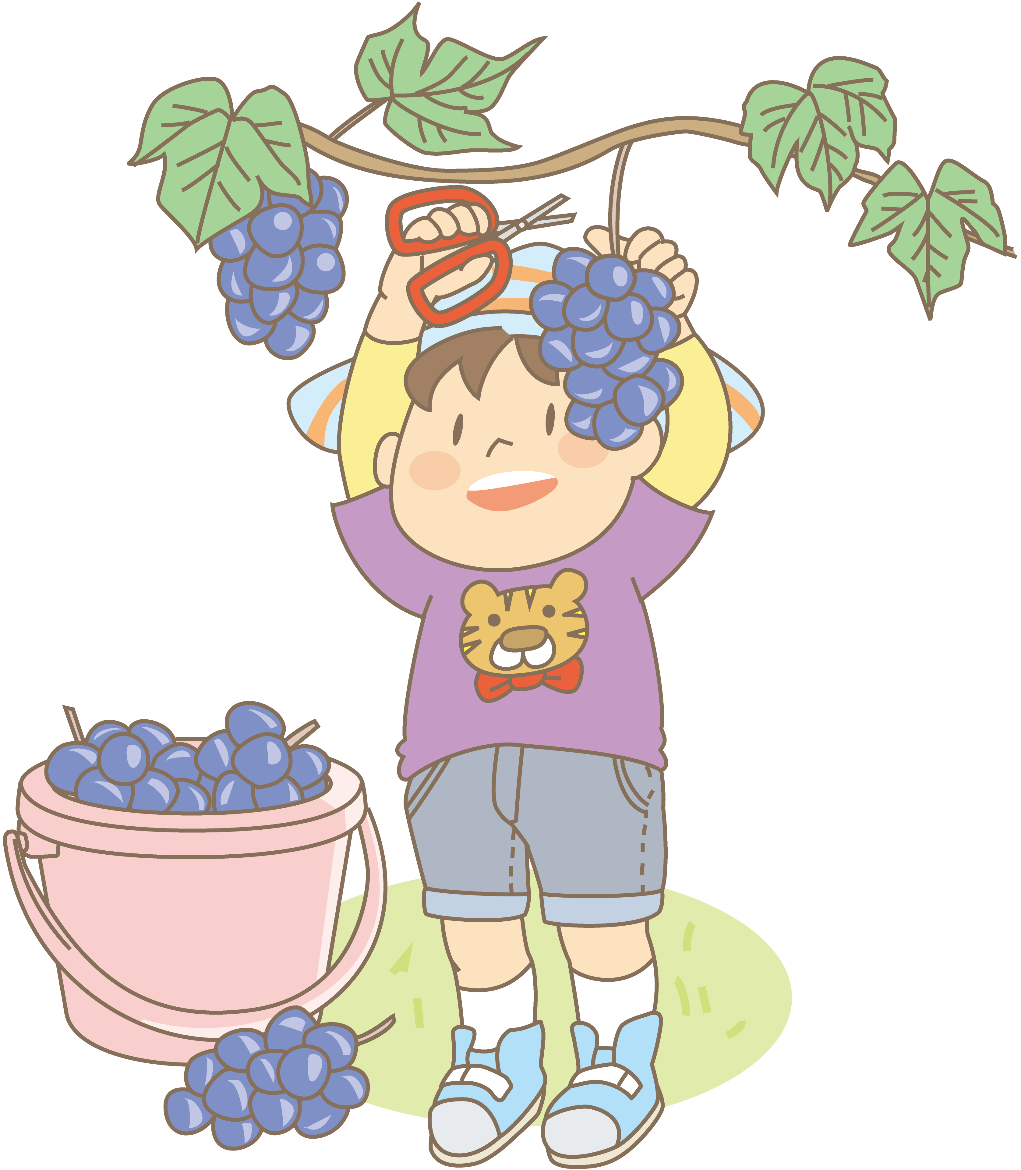 上ぶどう 狩り イラスト ディズニー画像のすべて