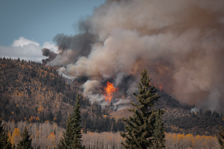 Making Fire Sense on Monroe Mountain