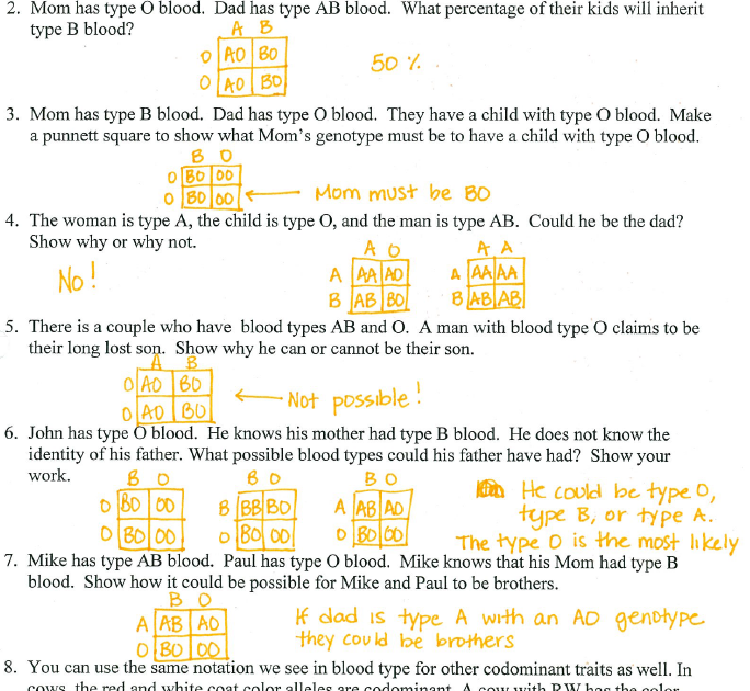 Spongebob Genetics Answer Key Page 3 : 2