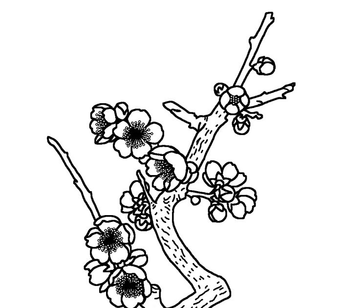 最も人気のある 梅の木 イラスト 梅の木 イラスト 書き方