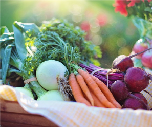 Image of onions, carrots, beets, and other fresh vegetables from the front cover of the Seeds of Native Health campaign report