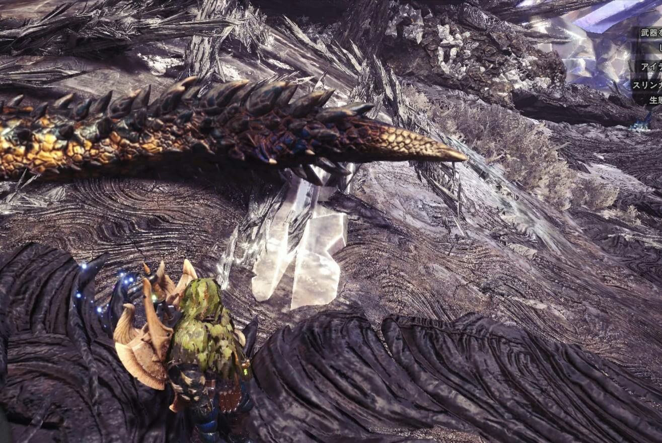 Mhw 金冠 判別 Mhw クシャルダオラ 金冠 判別 Gambarsaecfr