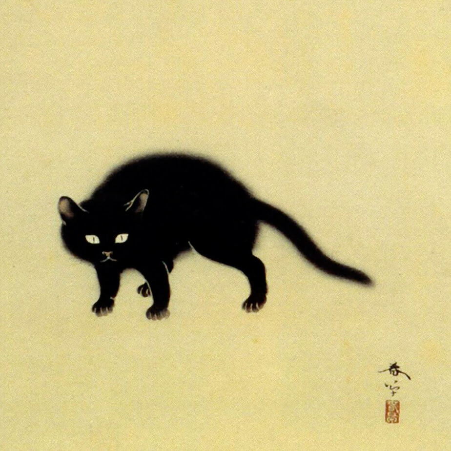 これまでで最高の壁紙 黒猫 最高の花の画像