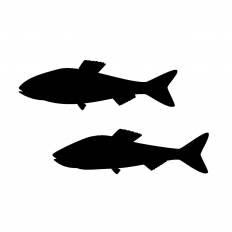 美しい花の画像 ユニーク魚 イラスト シルエット フリー