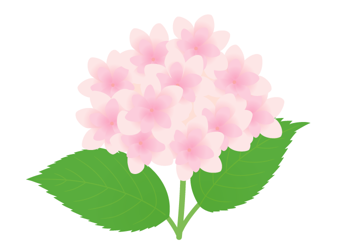 すべての美しい花の画像 50 梅雨 花 イラスト
