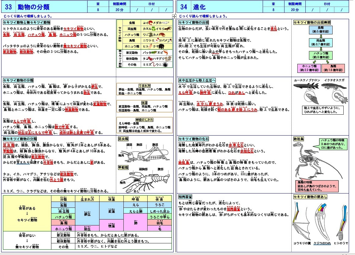 驚くばかり6年 理科 人や動物の体 プリント 最高のぬりえ