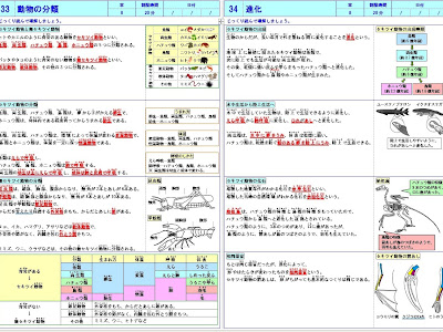 √99以上 6年 理科 人や動物の体 プリント 183962-6年 理科 人や動物の体 プリント
