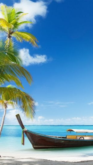 すべての美しい花の画像 ベスト50 壁紙 夏 スマホ