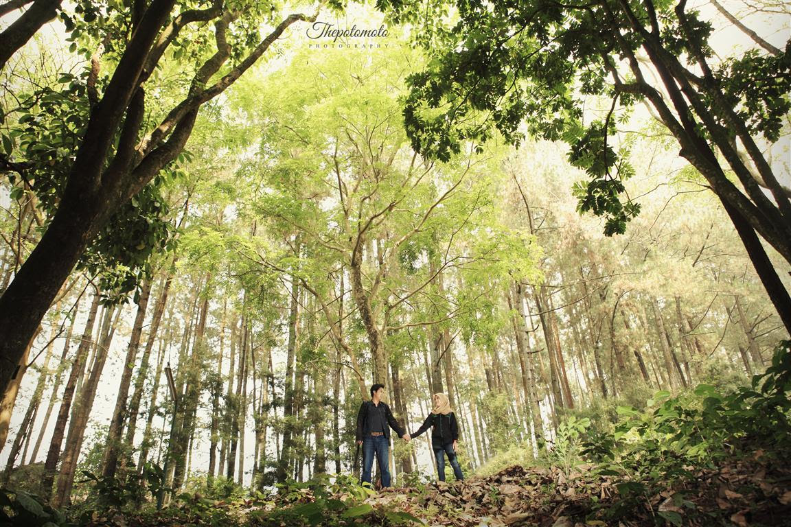 Hebat Tempat Prewedding Di Bandung Gratis | Gallery Pre ...