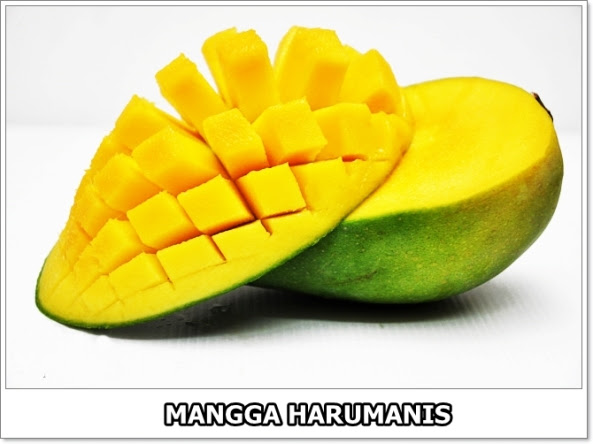Mangga Harumanis-2-01