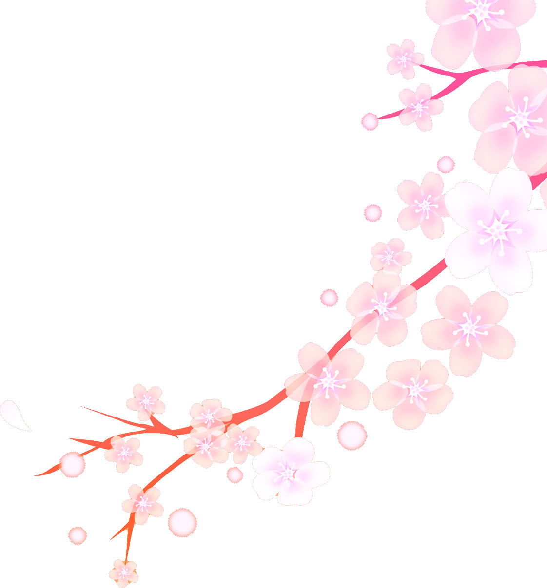 Japan Image 桜 イラスト フリー素材