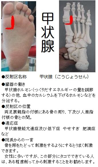足つぼ 女性 図