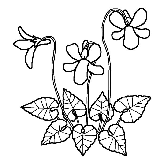無料印刷可能春の 花 イラスト 白黒 すべての美しい花の画像