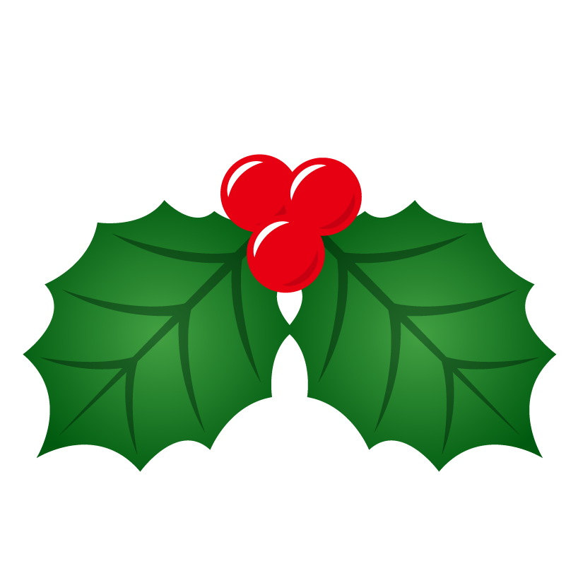 驚くばかりひいらぎ クリスマス 花の画像