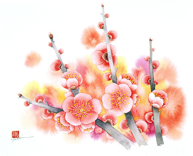 無料イラスト画像 エレガント水彩 梅 の 花 イラスト