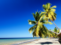 This website just helped me book a super-cheap tropical vacation in December