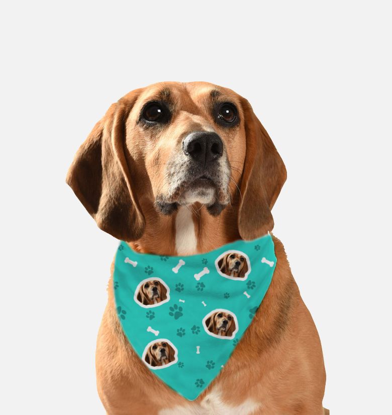 Download 23+ Pet Bandana Mockup PNG Yellowimages - Free PSD Mockup ...