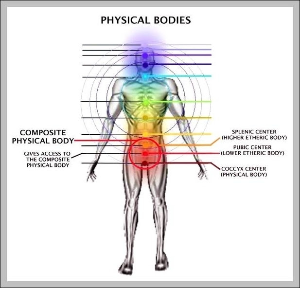 Home / male body reference. Male Chart Graph Diagram