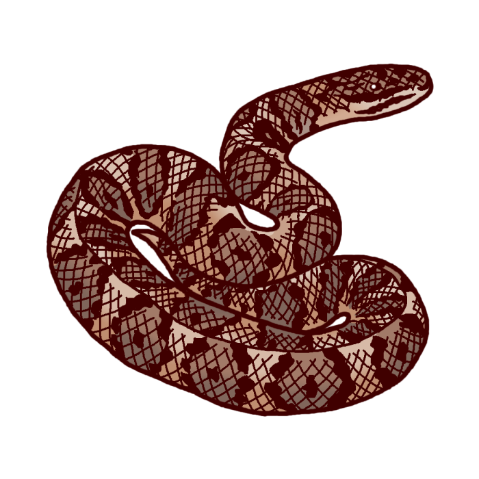 Japan Image 蛇 イラスト 白黒