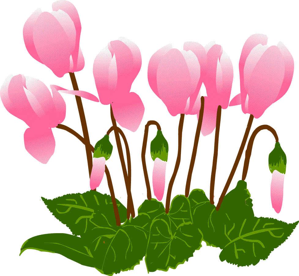 優れた かわいい 1 月 花 イラスト サマロンデ