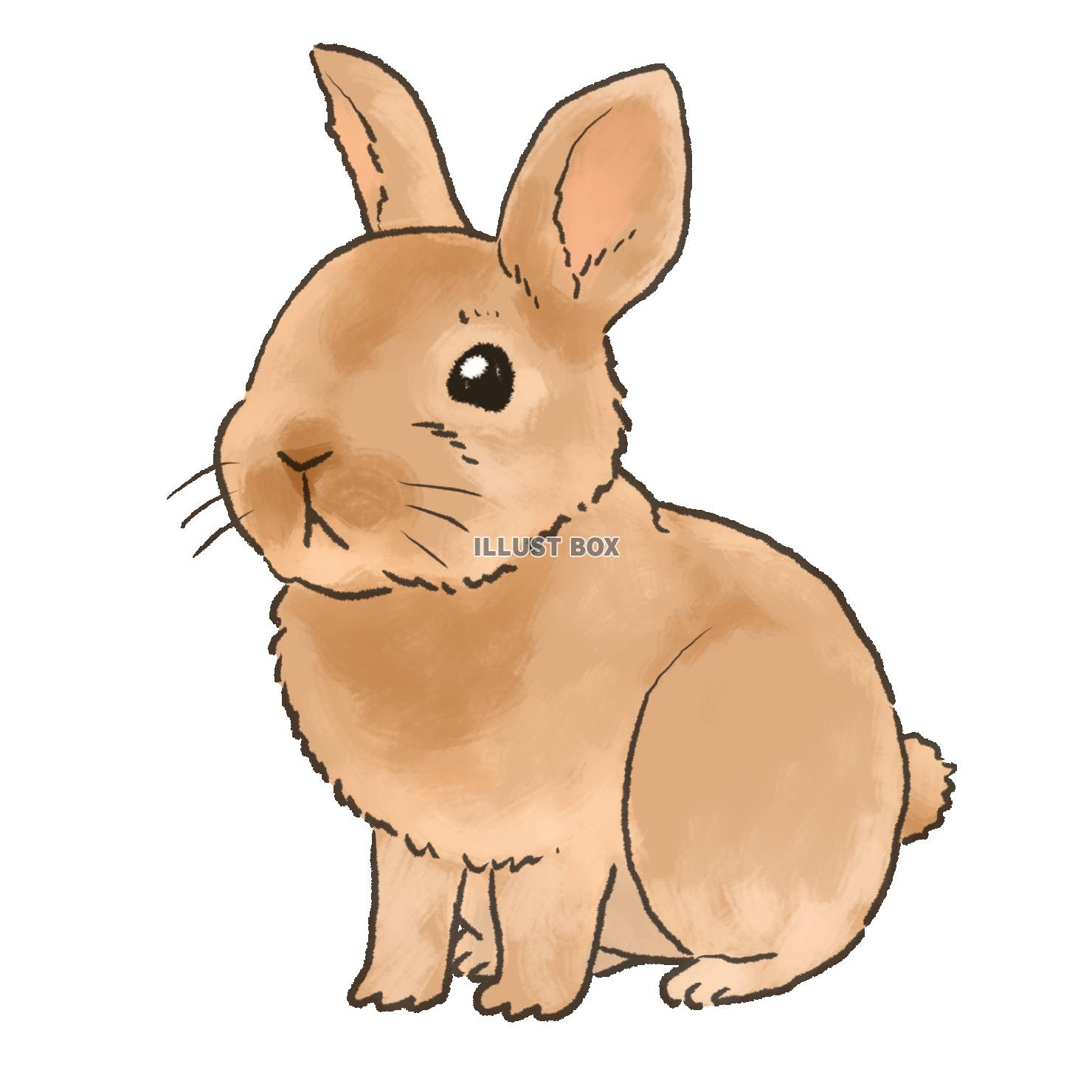最新 かっこいい ウサギ うさぎ イラスト Josspicture4boue