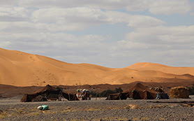 Bivouac  Sauvage