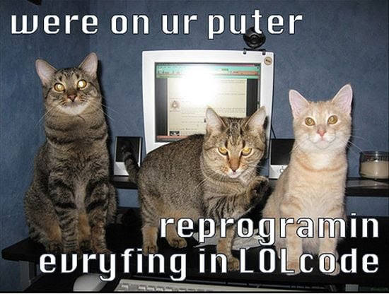Check spelling or type a new query. Cats And Dogs Playing With Computers You Know Who Wins