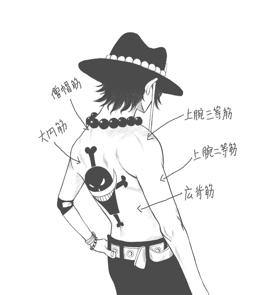 ワンピース エース イラスト 白黒 ハイキュー ネタバレ