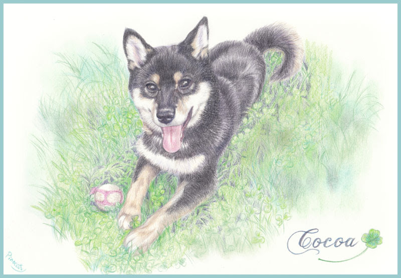 無料イラスト画像 新鮮な犬 イラスト リアル 柴犬