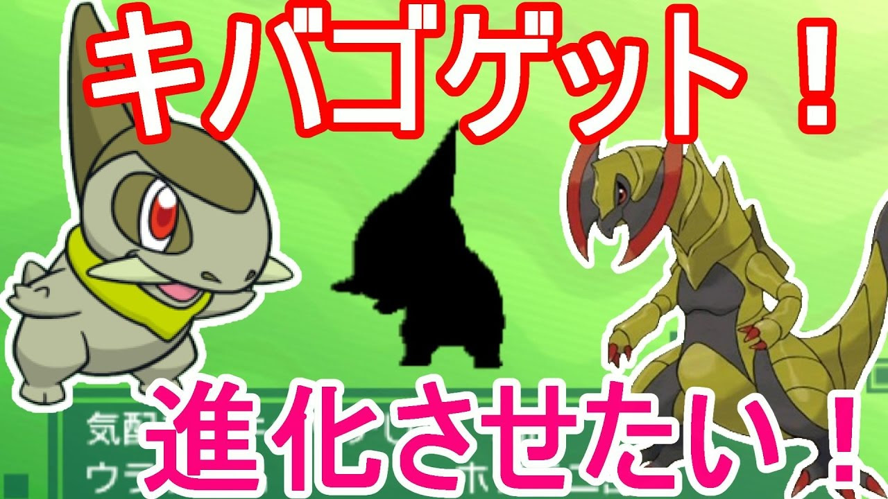 ポケモン Xy オノノクス イメージポケモンコレクション