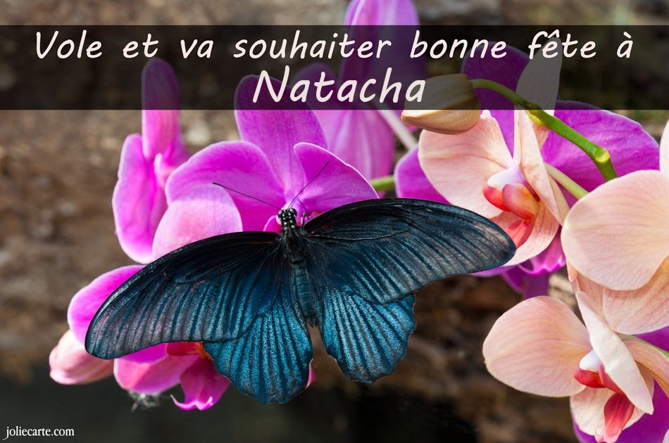 Bon Anniversaire Natacha Roselia