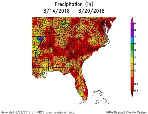 precip Aug20