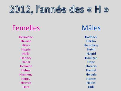 Les 40+ meilleures prenom de chat femelle 2016 212962