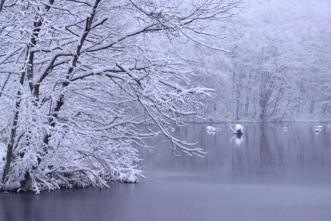 Jongeres 最高のコレクション 雪景色 壁紙 高画質