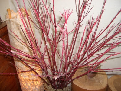 これまでで最高のサンゴミズキ 花 最高の花の画像