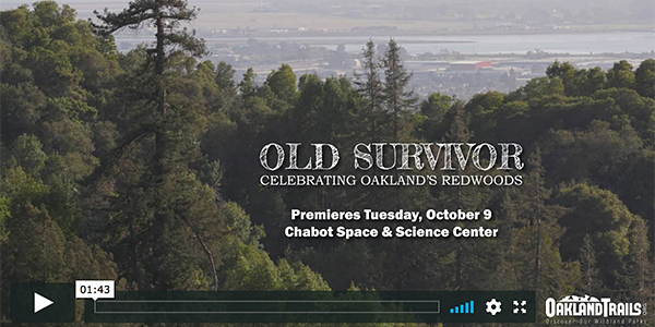 Watch the Old Survivor trailer and get tickets to the premiere.