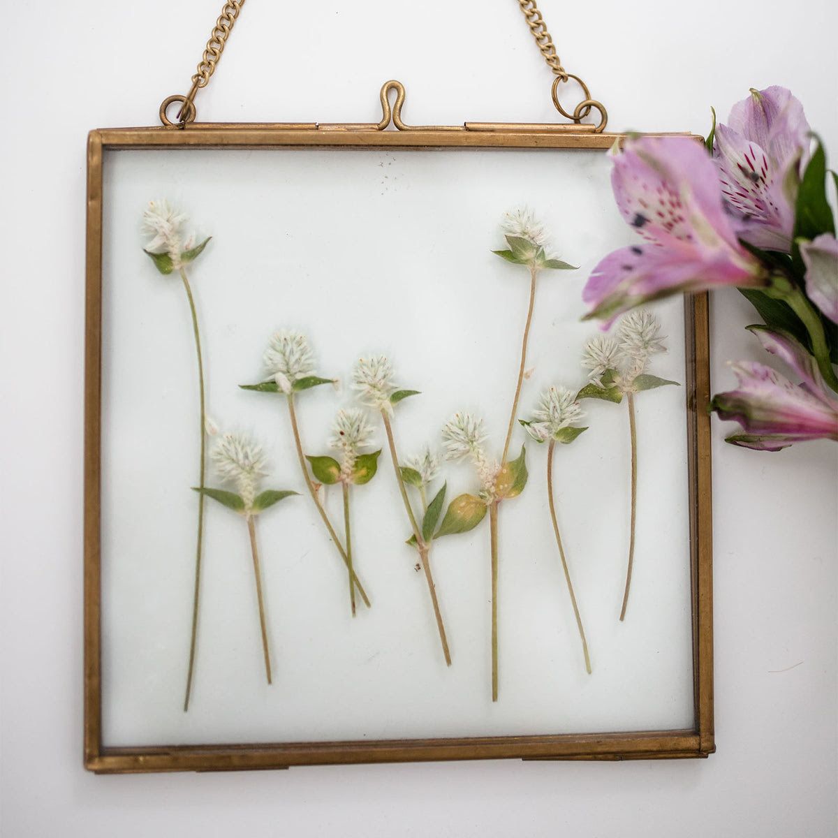 We did not find results for: Pressed Flower Frame Greyhouse Shop