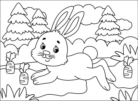 Maybe you would like to learn more about one of these? Bunny Coloring Page Free Printable Coloring Pages
