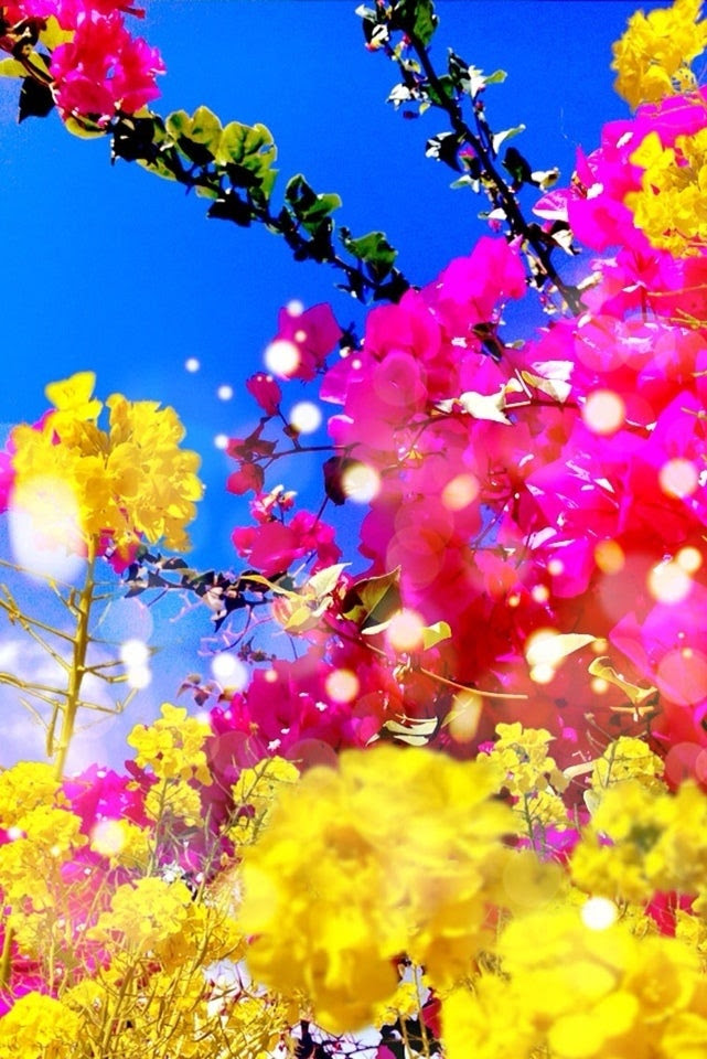 すべての花の画像 無料ダウンロード蜷川 実花 壁紙 高 画質