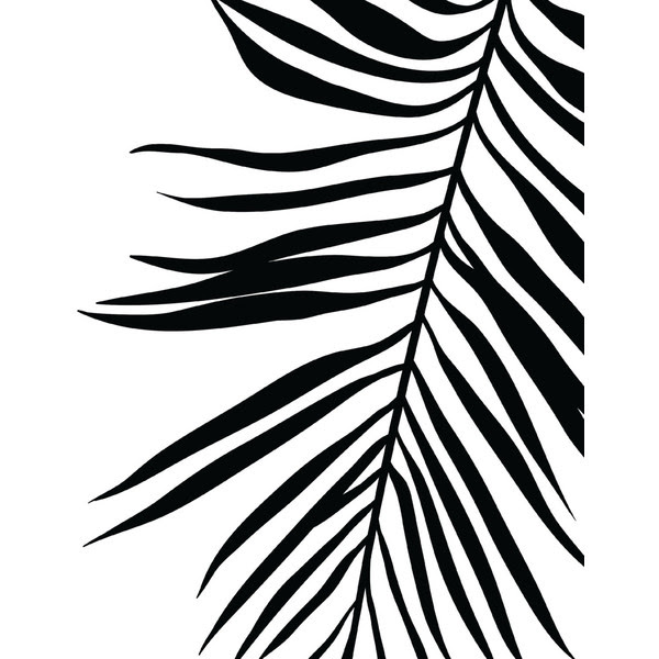 Check out our new project at craftstarters.com where we palm tree leaf template pattern use the printable outline for crafts creating stencils scrapbooking free svgs for faux leather earrings. Palm Frond Drawing At Getdrawings Free Download