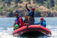 whale-disentanglement-training-hunnewell