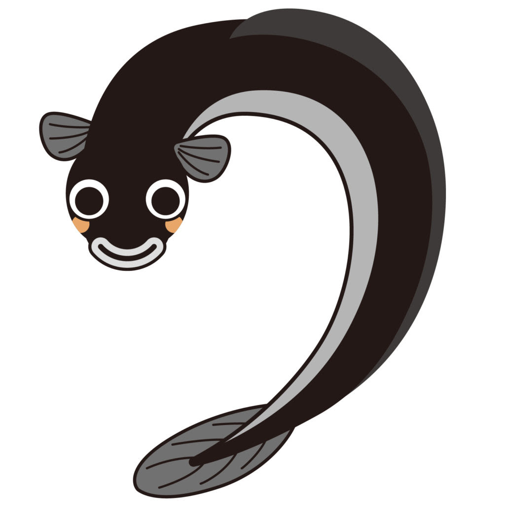 すべての動物の画像 ベスト50 鰻 イラスト